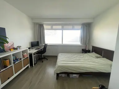 16m2 Camera in affitto per 800€/mese a Hendrik Tollensstraat, Delft