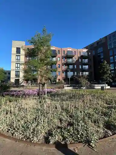 50m2 apartment to rent for 915€/month in Spirituslaan 76, Bergen op Zoom