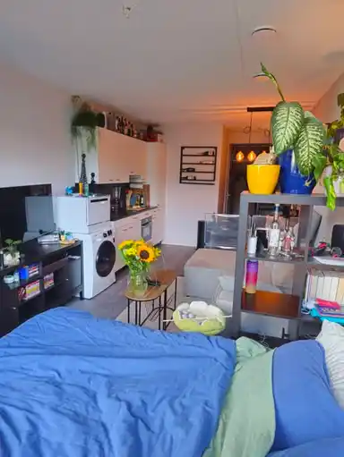 28μ² στούντιο προς ενοικίαση για 946.33€/μήνα σε Victoria Welbystraat, Amsterdam