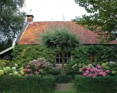 60m2 apartment to rent for 1500€/month in Koppeldijk, Utrecht
