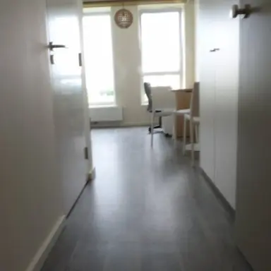 27m2 Camera in affitto per 612€/mese a Provenierssingel 37B, Rotterdam