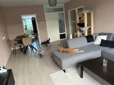 84m2 apartment to rent for 1218€/month in Cleijn Duinplein, Katwijk