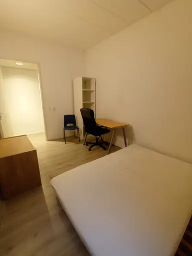 10μ² Δωμάτιο προς ενοικίαση για 650€/μήνα σε Römerselaan, Arnhem