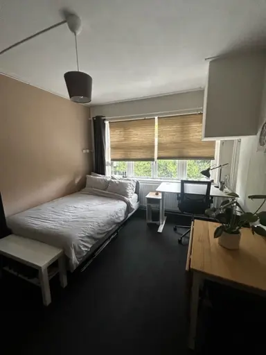 14m2 room to rent for 370€/month in Nieuwe Kerkhof, Groningen