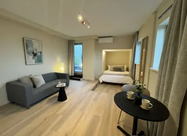 30m2 Wohnung zur Miete für 1695€/Monat in Acaciastraat, The Hague