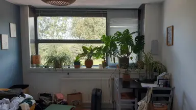 15m2 room to rent for 699€/month in Dijkwacht, Leiderdorp