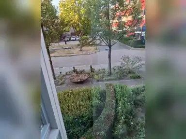 60m2 apartment to rent for 730€/month in Hollandia, Veenendaal