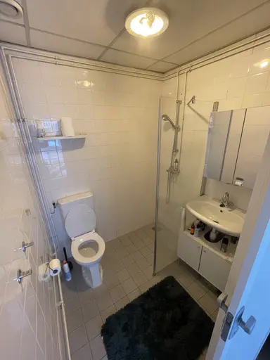 42m2 Appartamento in affitto per 1147€/mese a Kerkstraat, Utrecht