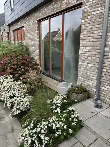 55m2 apartment to rent for 893.28€/month in de Brouwpit 17, Meliskerke