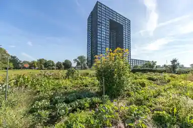 117m2 Appartamento in affitto per 1456€/mese a Regattaweg 322, Groningen