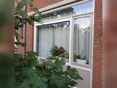 120m2 house to rent for 682€/month in Dahliastraat, Ridderkerk