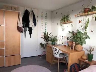 16m2 Kamer te huur voor 484€/maand in Borgplein, Groningen