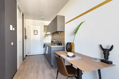 22m2 studio to rent for 1303€/month in Reykjavikstraat, Utrecht