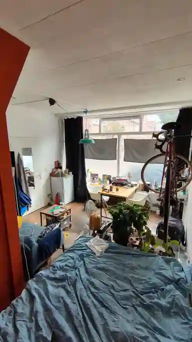 20m2 Chambre à louer pour 773.44€/mois à Nachtegaalstraat, Tilburg