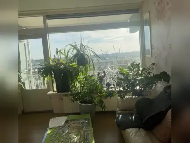 80m2 apartment to rent for 580€/month in Ferdinand Bolstraat, Meppel