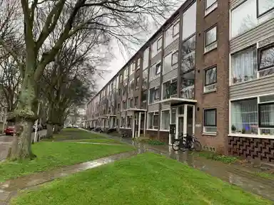 39m2 apartment to rent for 498.2€/month in Nettelhorststraat 88, The Hague