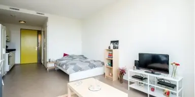 24m2 Zimmer zur Miete für 740€/Monat in Wagendwarsstraat 31, Utrecht