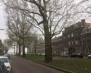 10m2 Zimmer zur Miete für 550€/Monat in Jericholaan, Rotterdam