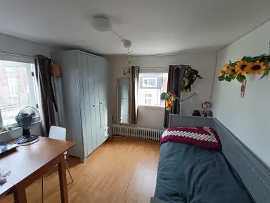 11m2 Kamer te huur voor 520€/maand in St.-Janshovenstraat, Utrecht