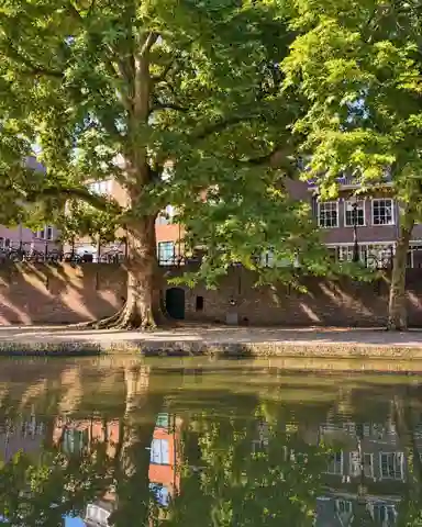 36m2 studio to rent for 2035€/month in Oudegracht aan de Werf, Utrecht