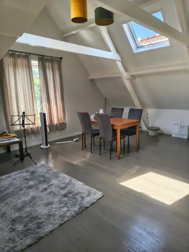 55m2 Appartement à louer pour 1050€/mois à Gasthuissingel, Haarlem