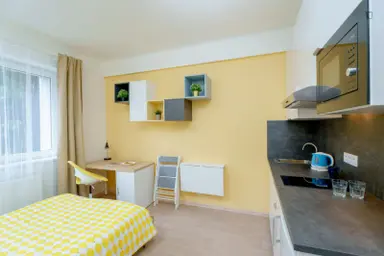 45m2 studio à louer pour 920€/mois à Postelse Hoeflaan, Tilburg