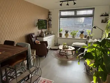 50m2 Appartement te huur voor 517€/maand in Baron van Brienenstraat, Stad aan 't Haringvliet