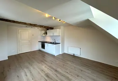 73m2 Appartement te huur voor 1175€/maand in Leliestraat, Maastricht