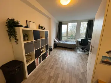 16m2 Kamer te huur voor 475€/maand in Stadsbrink, Wageningen