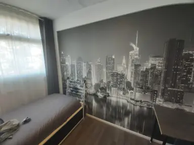 11m2 room to rent for 298€/month in Isaäc da Costalaan 367, Delft