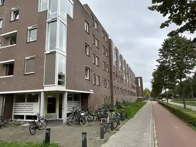 41m2 apartment to rent for 478.25€/month in Kooikersweg 244, 's-Hertogenbosch