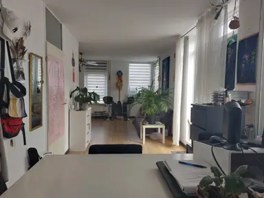 33m2 Wohnung zur Miete für 1300€/Monat in Golofkinstraat, Zaandam