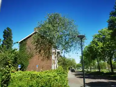 90m2 apartment to rent for 670€/month in Kanaalweg, Leiden