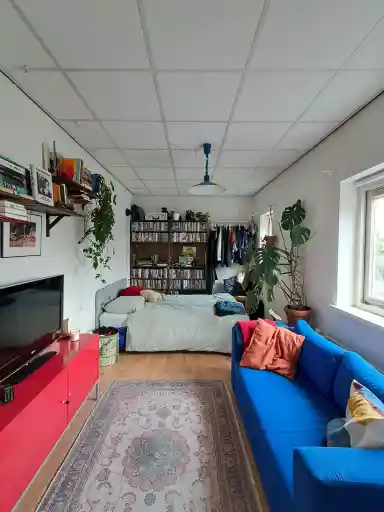 20m2 room to rent for 650€/month in Magnoliastraat, Breda