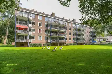 47m2 apartment to rent for 713.02€/month in Professor Evertslaan 107, Delft