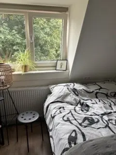 12m2 Camera in affitto per 682€/mese a Balistraat, Nijmegen