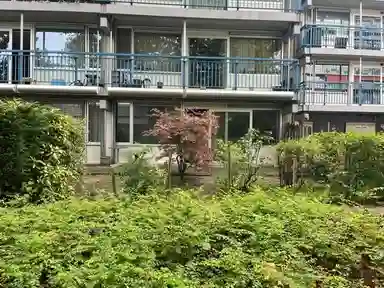 60.48m2 apartment to rent for 713.02€/month in Rietgorsplein 65, Purmerend