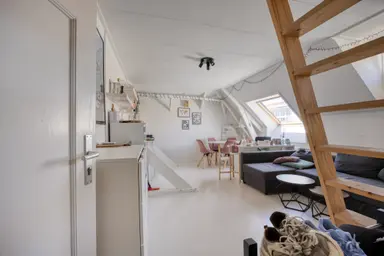30m2 Kamer te huur voor 799€/maand in Berg en Dalseweg, Nijmegen