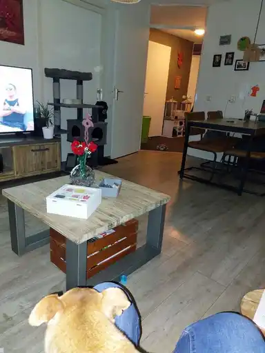 40m2 Wohnung zur Miete für 823€/Monat in Boekweitkamp, Ruinerwold
