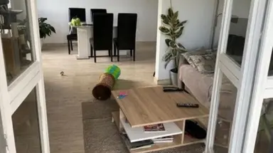 38m2 Zimmer zur Miete für 865€/Monat in Sigmaplantsoen 15, Leiden