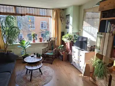 53m2 Appartement te huur voor 790€/maand in Jacob Catsstraat, Groningen