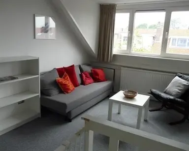 45m2 Kamer te huur voor 850€/maand in Petrarcalaan, Utrecht