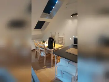 33m2 Appartement te huur voor 550€/maand in Van Swindenstraat, The Hague