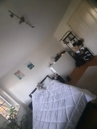 42m2 room to rent for 550€/month in Groen van Prinstererlaan, Barneveld