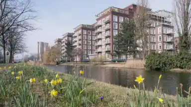 73m2 apartment to rent for 1790€/month in Molenwerf, Amsterdam