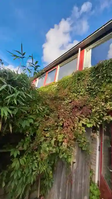m2 house to rent for 764.14€/month in Keslerlaan 3, Bergen