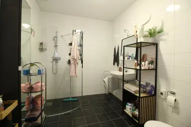 66m2 Appartement te huur voor 1550€/maand in Jan van der Heydenstraat, Hendrik-Ido-Ambacht