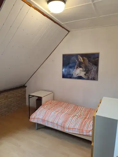 14m2 room to rent for 750€/month in Wilhelminalaan, Etten-Leur