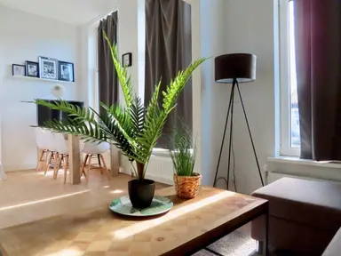 21m2 studio to rent for 885€/month in Westerbaenstraat 2B, The Hague