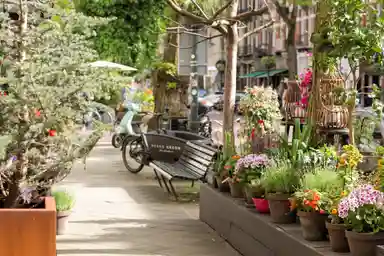 122m2 apartment to rent for 5200€/month in Cornelis Schuytstraat 17-2, Amsterdam
